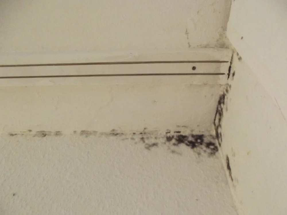 Technician in protective gear removing a mold-damaged wall in a Sugar Grove home